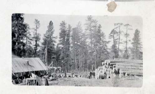 1900+/- Wallowa County, Saw Mill