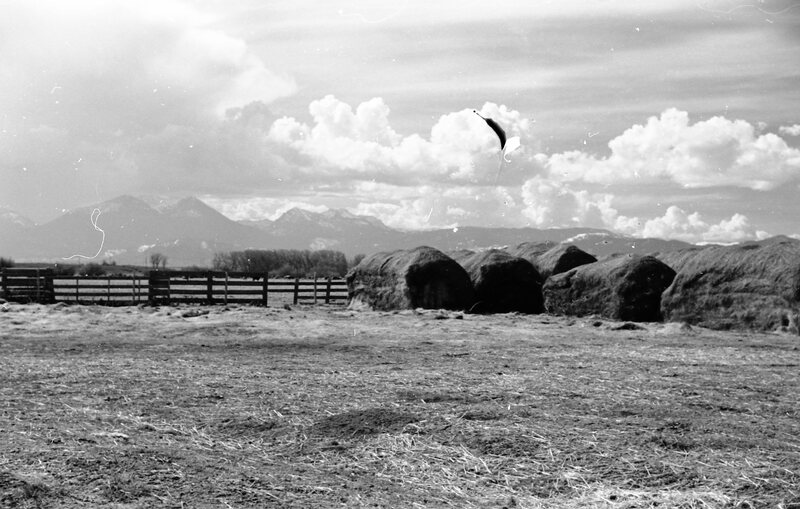 1978 Agriculture, Farm Equipment 08