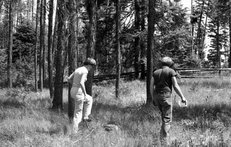 1982 Field Trip, Outdoors 02