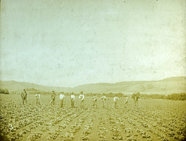 La Grande, Sugar Beet Farm