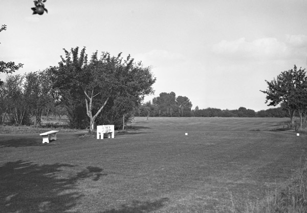 Island City, Golf Course 4