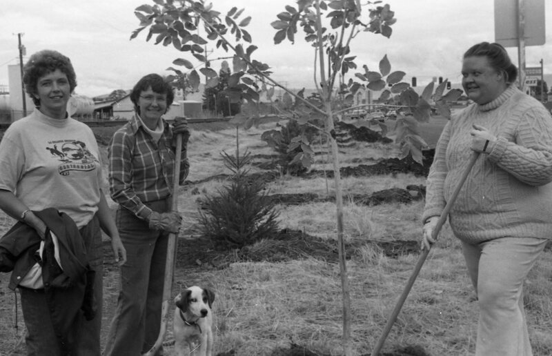 1985 Soroptimist Tree Plantings 05