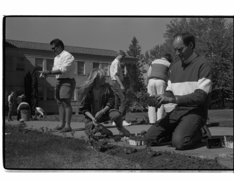 1989 Employees, Planting 04