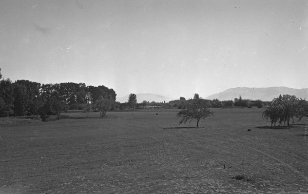 Island City, Golf Course 2