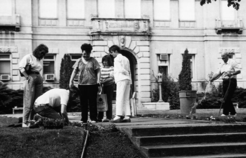1988 Employees, Planting 04