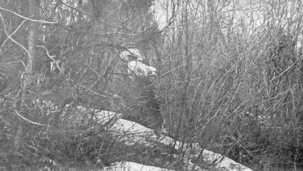 Reuter Group-D, Snow 6