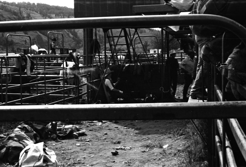 1981 Rodeo, Cowboys 10