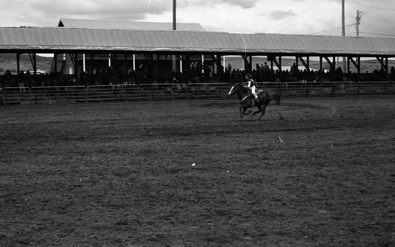 1982 EOSC Rodeo, Women's Barrel Racing 05