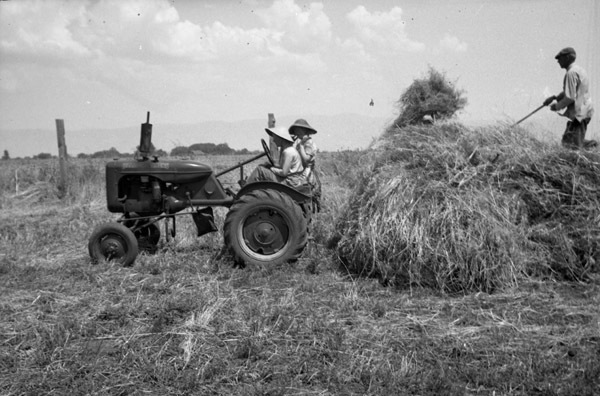 Elgin Farm, Bernal Hug Sr. 1