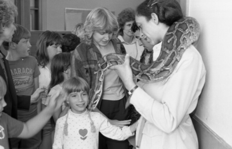 1985 Ackerman Elementary School, Safari 02