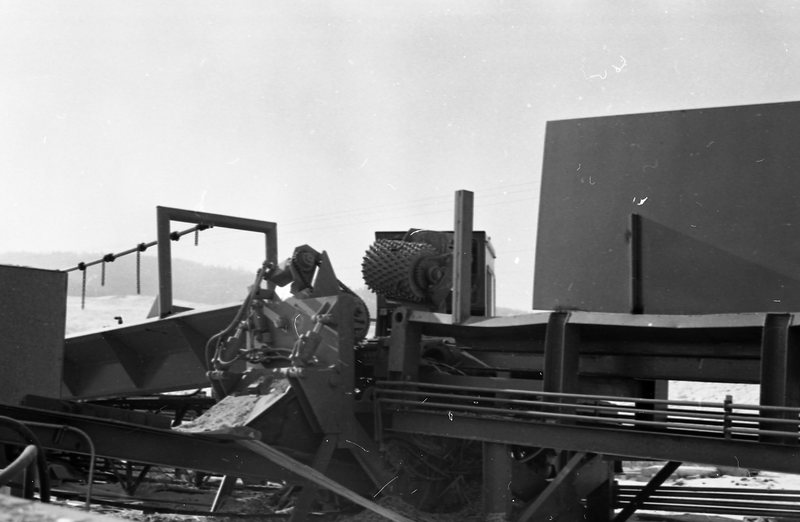 1980 Log Plant 03