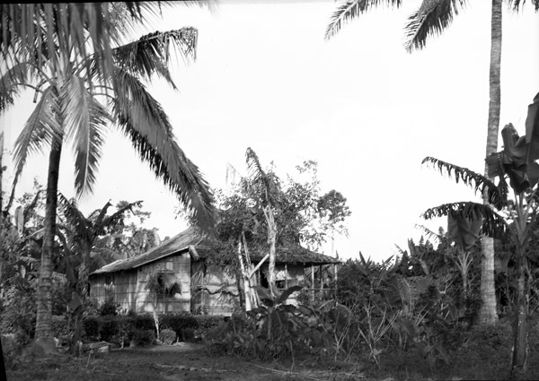 Leyte Local Houses 6