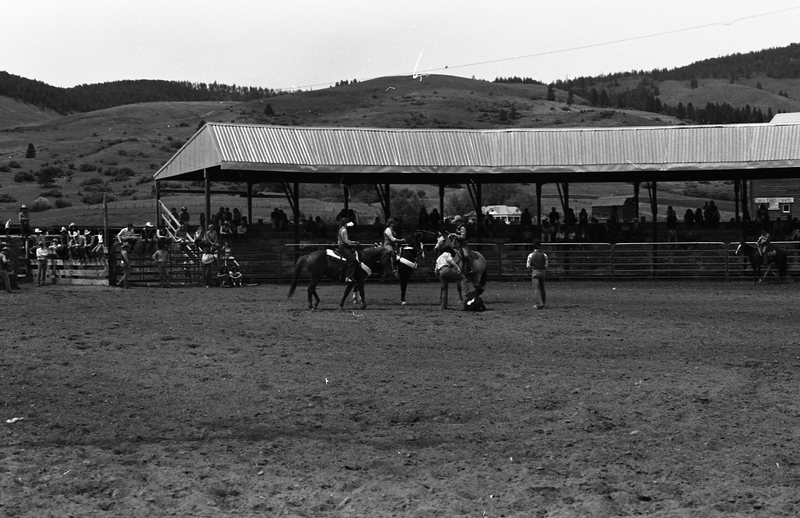 1981 Rodeo, Calf Roping 01