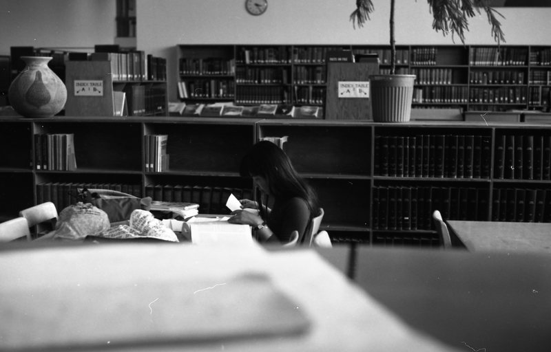 1981 Pierce Library Usage 03