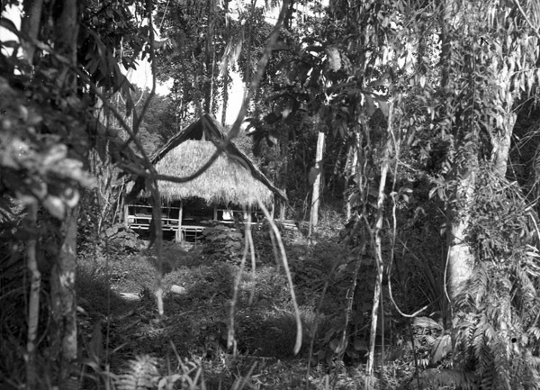 Dobodura Hut Sleeping Quarters 1