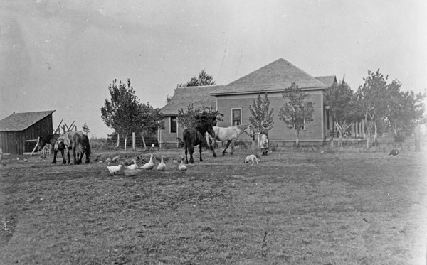 Union County, Farm Home