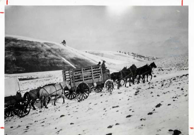 1912 Idaho, Elk Imports