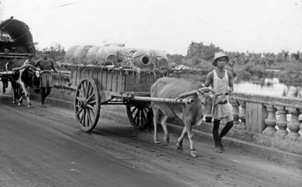 Binmaley Locals, Bridge Traffic 2
