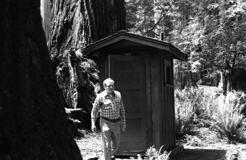 1980 Redwoods 06