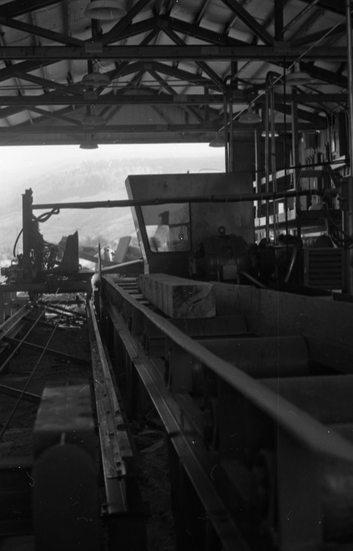 1980 Log Plant 16
