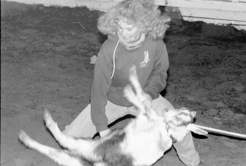 1991 Rodeo, Roping Practice 02