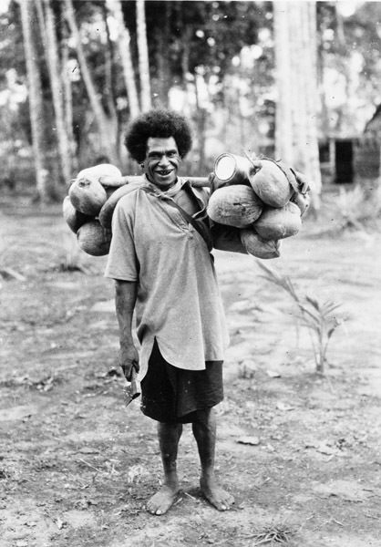 Finchhaffen Native Sells Coconuts