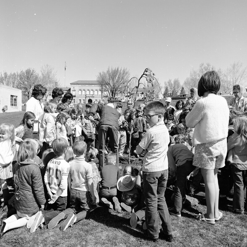 1972 Ackerman Elementary School, Tree Planting 07