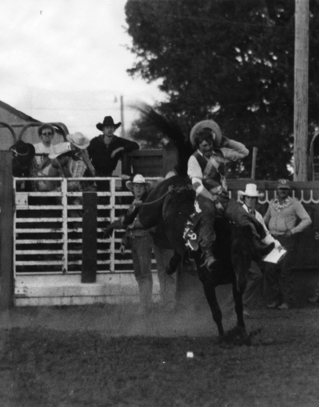 1979 Rodeo, Bronco Riding 01