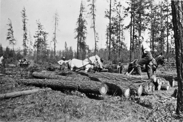 Logging Operation, WA 1
