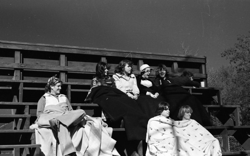 1978 Baseball Fans