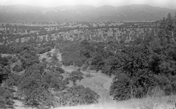 Hunter-Liggett Terrain 1