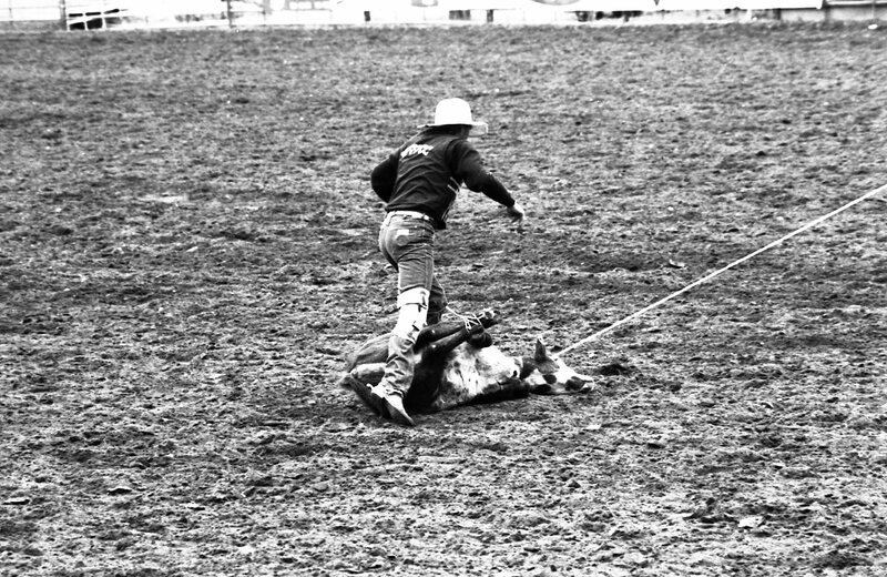 1986 Springfest, Rodeo Roping 03