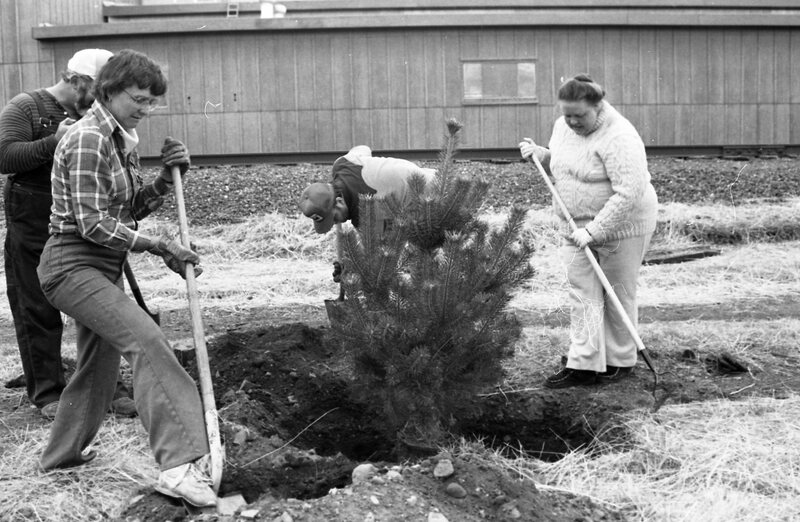 1985 Soroptimist Tree Plantings 11