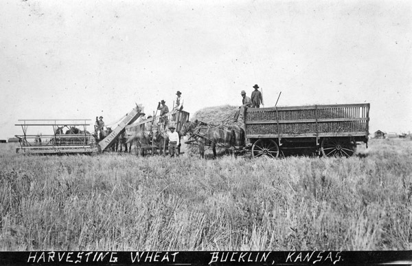 Kansas, Wheat Harvesting