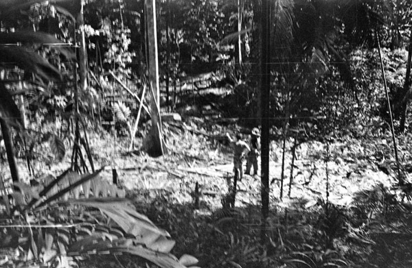 Dobodura Jungle 5