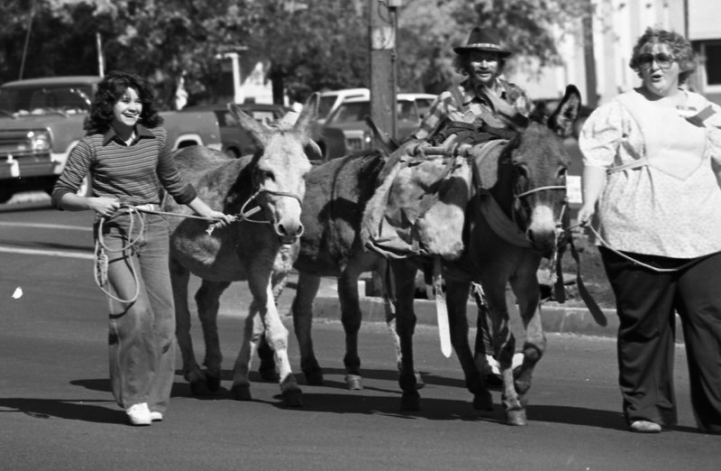 1981 Homecoming Parade, Donkeys 01