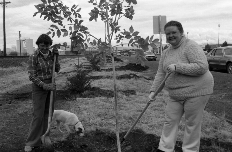 1985 Soroptimist Tree Plantings 12