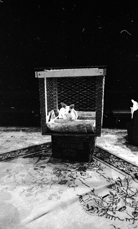 1974 Theatre, Rabbit 10