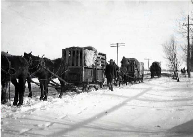 1912 Oregon, Elk Imports 3