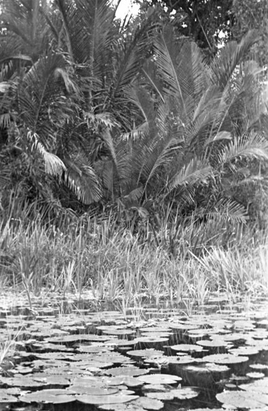 Big Emby Lake 3