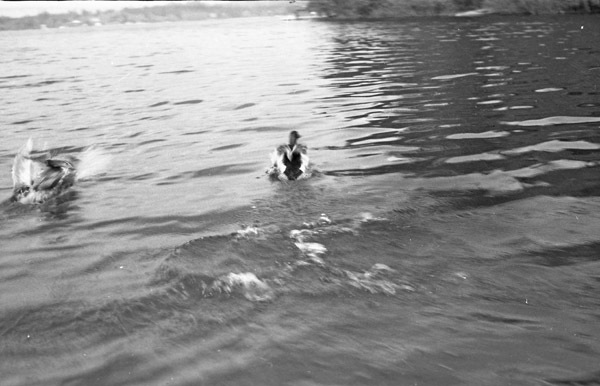 American Lake 3