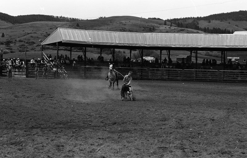 1981 Rodeo, Calf Roping 02