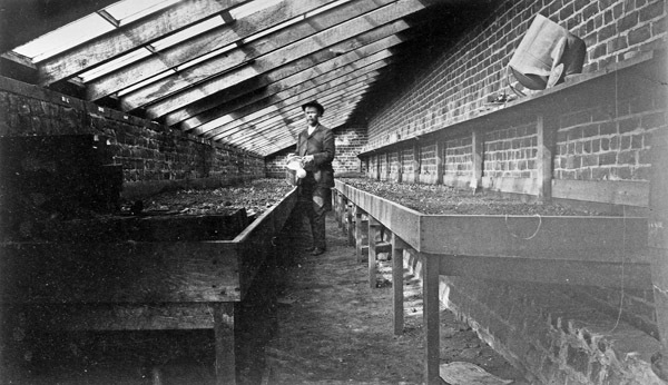 Union, Hothouse Interior