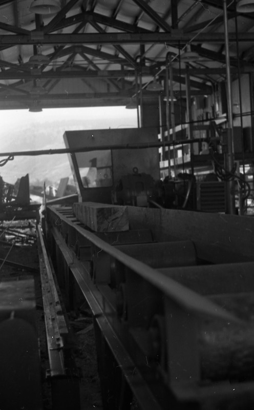 1980 Log Plant 16