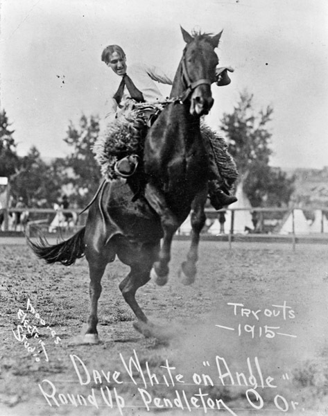 Rodeo, Bucking Bronco 4