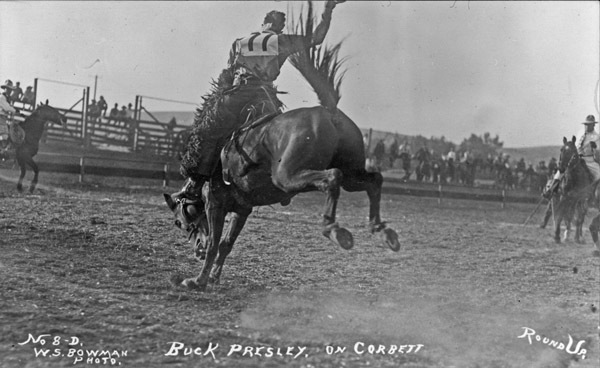 Rodeo, Bucking Bronco 7