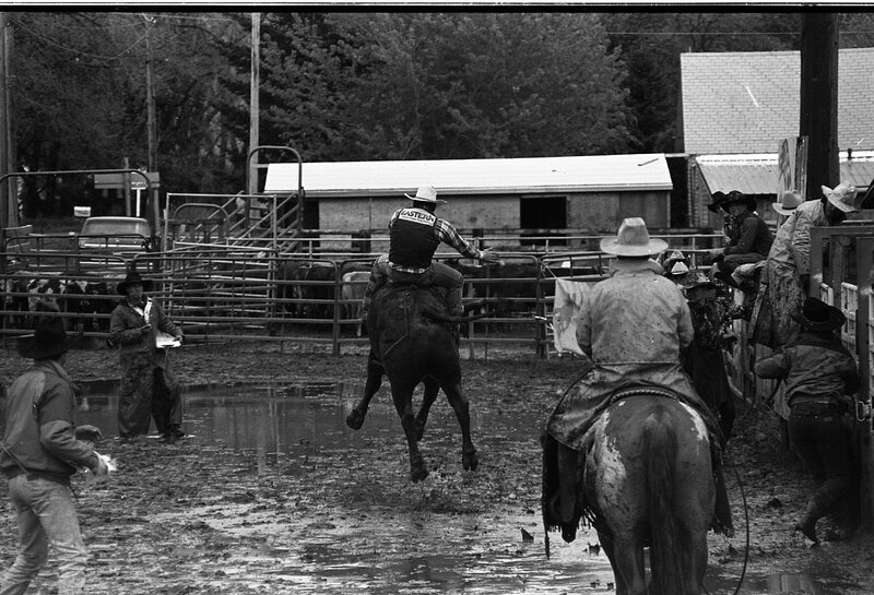 1991 Eastern Rodeo, Bull Riding 07