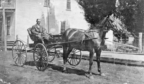 Horse and Carriage