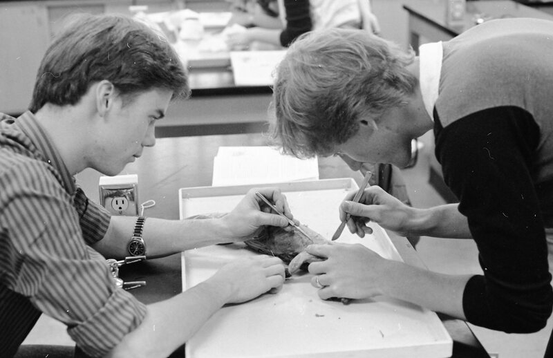 1984 Biology Lab, Dissection 03