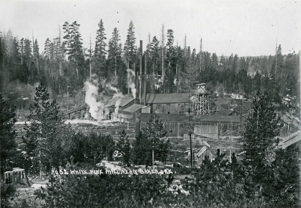 Baker, White Pine Mill
